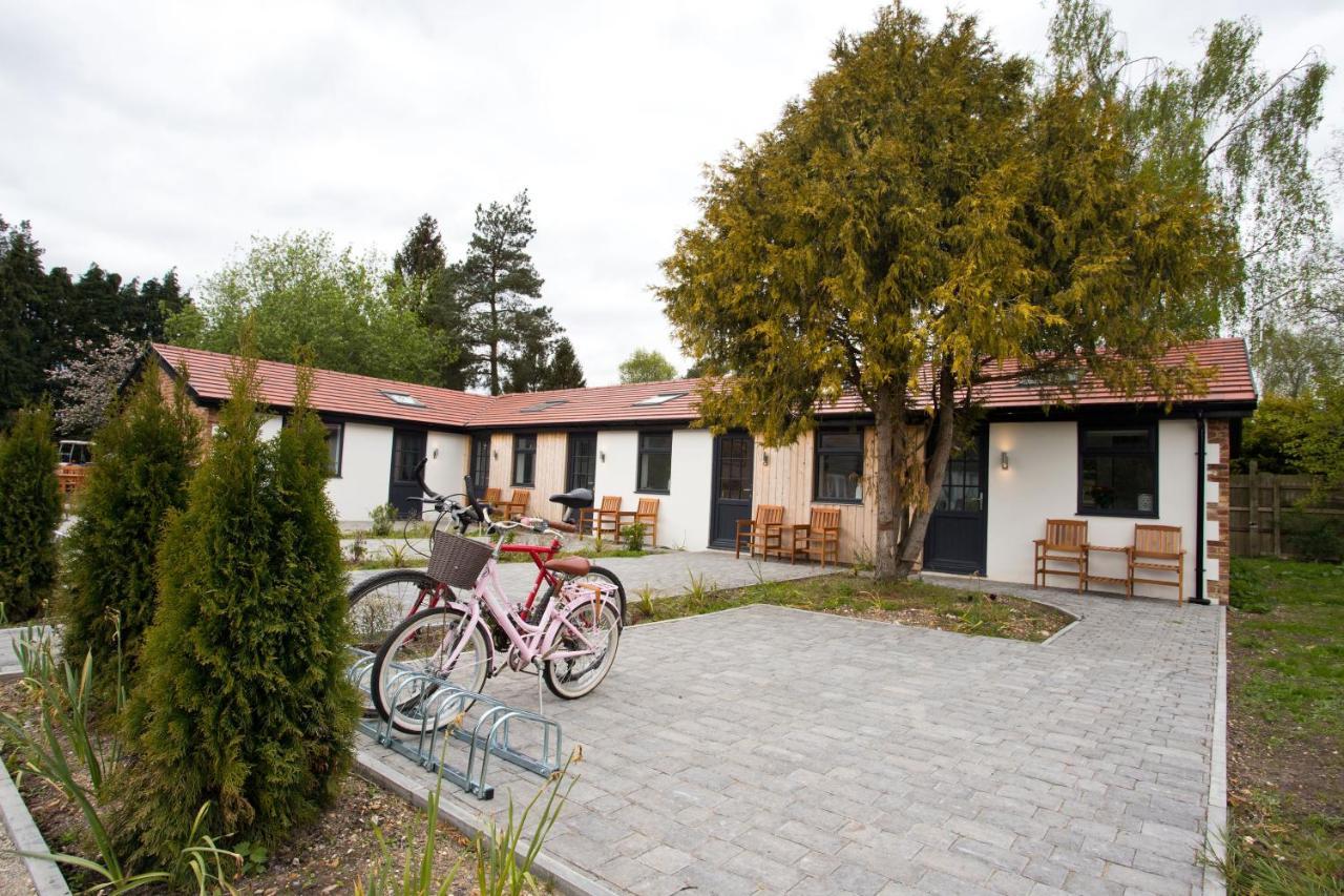 The Bearded Goat Den - A Rural Retreat At This Modern Holiday Cottage Saint Leonards Exterior photo